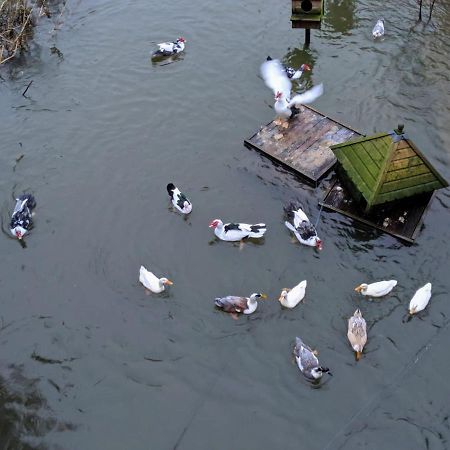 B&B At The Old Mill Worton  Εξωτερικό φωτογραφία