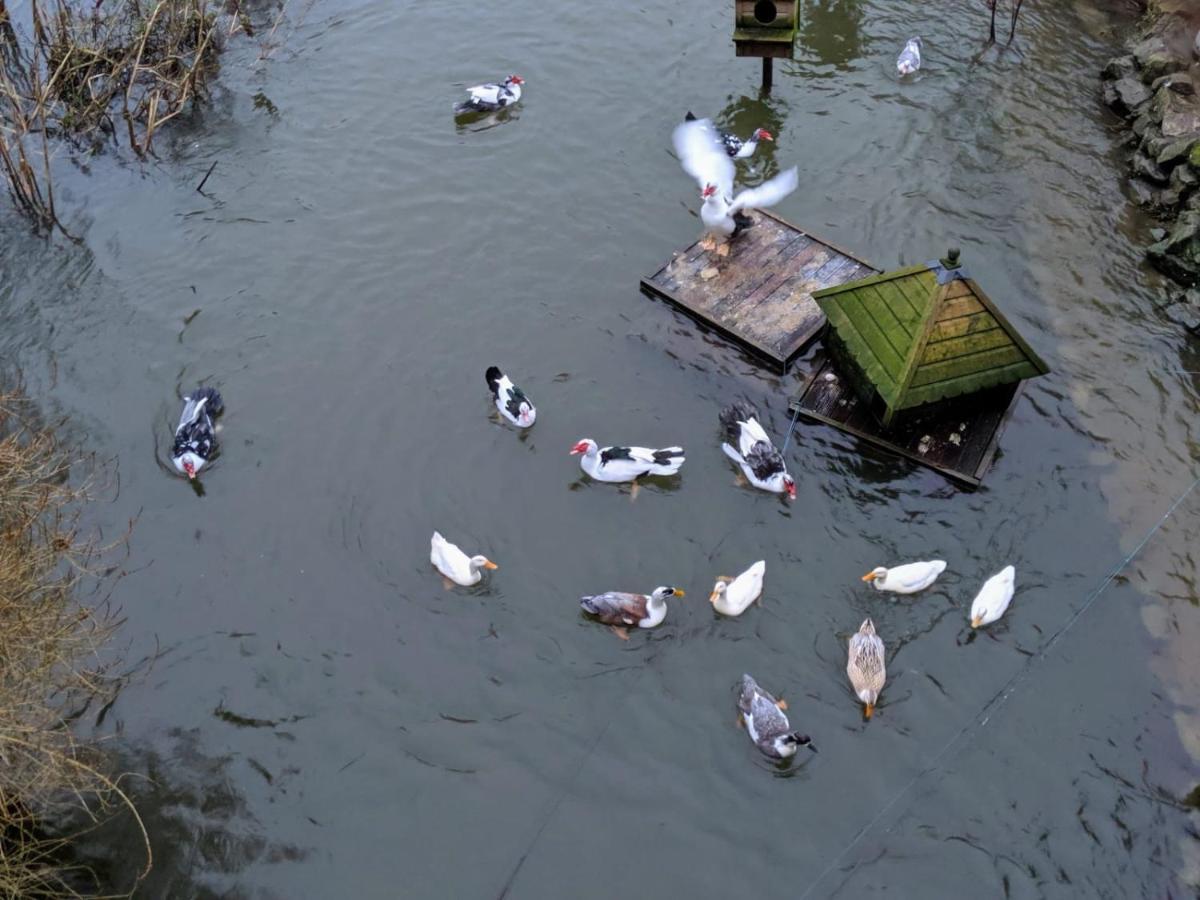 B&B At The Old Mill Worton  Εξωτερικό φωτογραφία